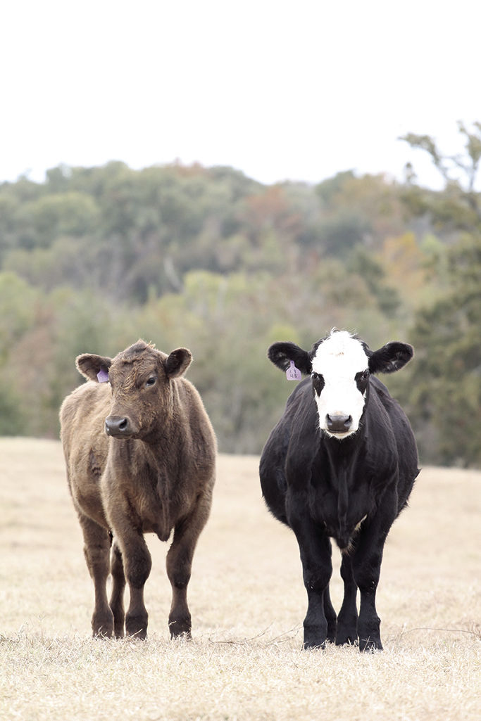 Oklahoma Department of Corrections Agri-Services Division